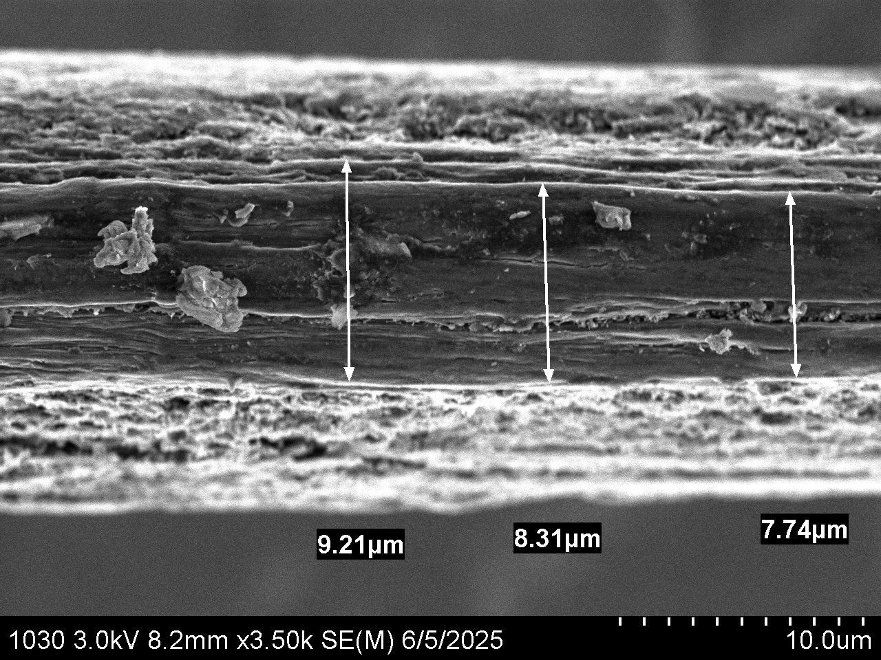 Carbon nanotube fiber assembly under SEM